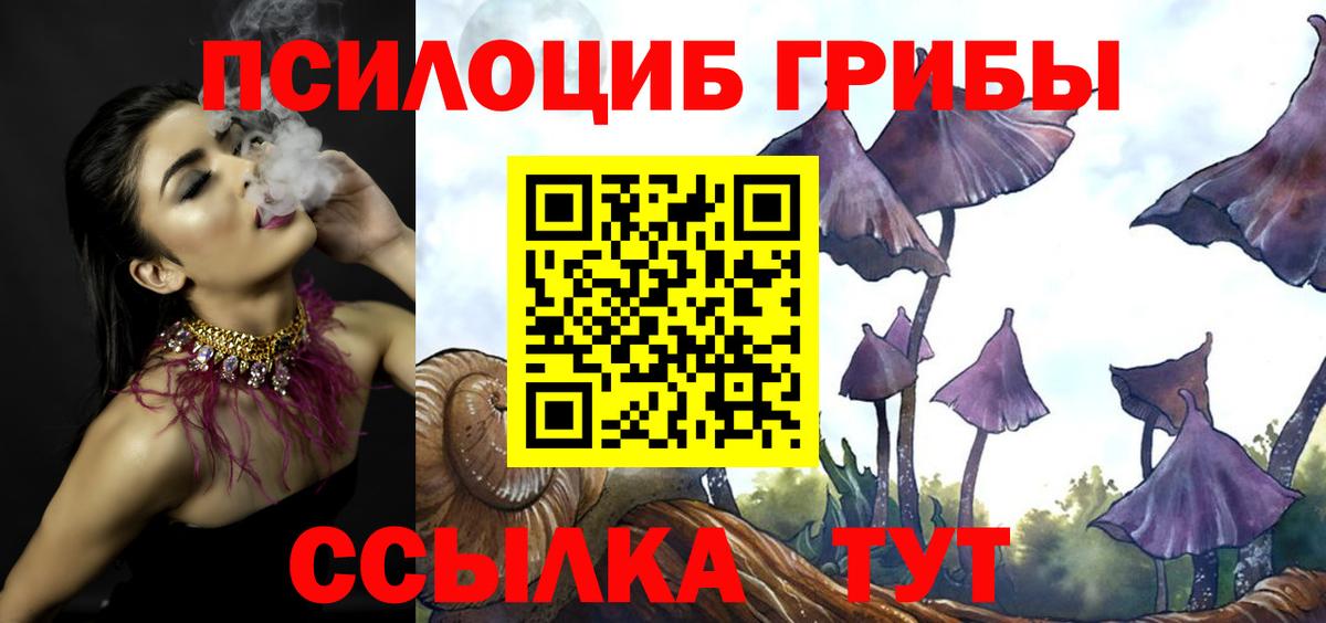 Коркино  Псилоцибиновые грибы прущие грибы  Вход с VPN 